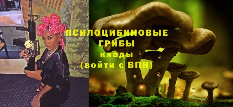 Псилоцибиновые грибы Magic Shrooms  как найти   Казань 